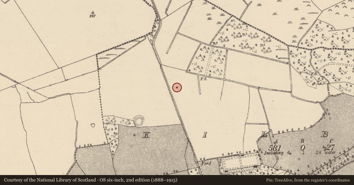 Ordnance Survey six-inch map, 2nd edition (1888–1915) covering the location of Earthwork, Kilboy (Kilmore Par., North Riding), County Tipperary North, with a pin at the register's coordinates