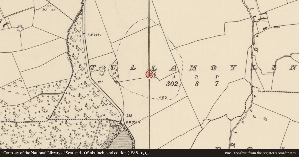 Ordnance Survey six-inch map, 2nd edition (1888–1915) covering the location of Enclosure, Tullamoylin (Dolla Par.), County Tipperary North, with a pin at the register's coordinates