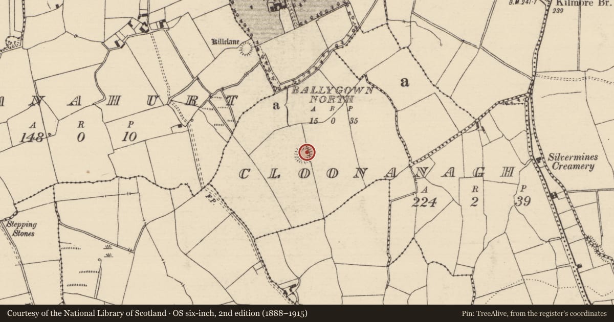 Ordnance Survey six-inch map, 2nd edition (1888–1915) covering the location of Ringfort - rath, Cloonanagh, County Tipperary North, with a pin at the register's coordinates