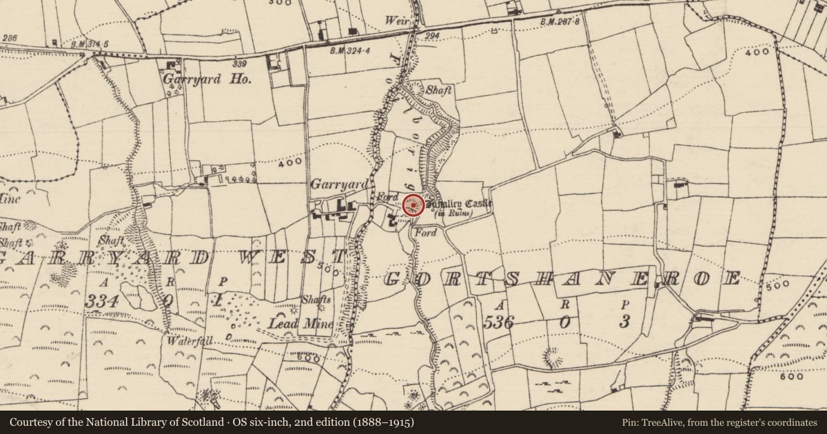 Ordnance Survey six-inch map, 2nd edition (1888–1915) covering the location of Castle - unclassified, Gortshaneroe, County Tipperary North, with a pin at the register's coordinates