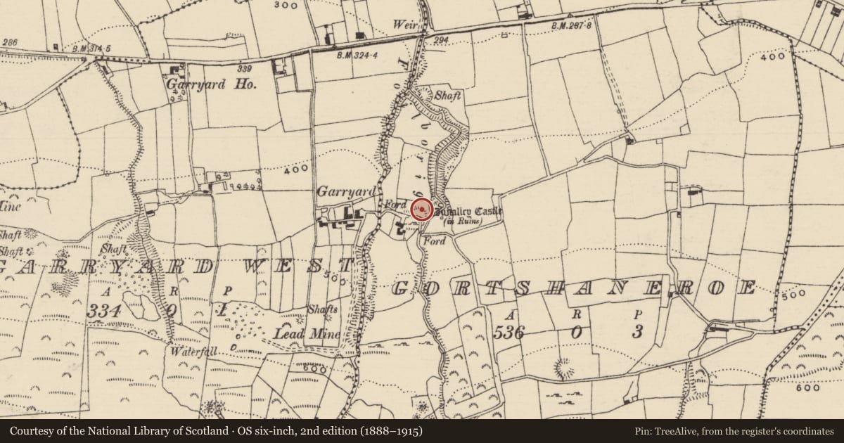 Ordnance Survey six-inch map, 2nd edition (1888–1915) covering the location of Bawn, Gortshaneroe, County Tipperary North, with a pin at the register's coordinates