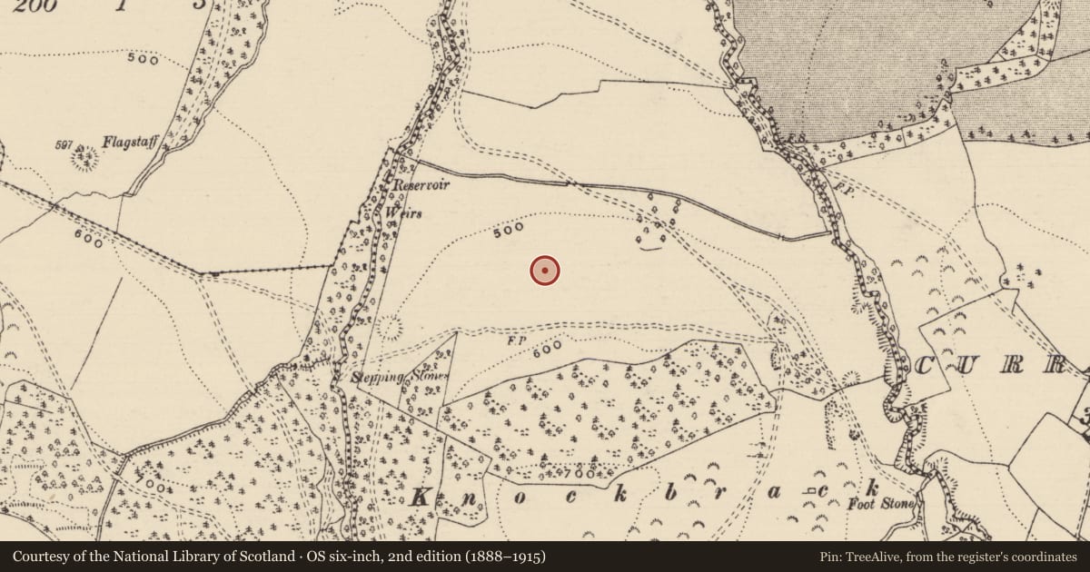 Ordnance Survey six-inch map, 2nd edition (1888–1915) covering the location of Ringfort - rath, Lisnageenly, County Tipperary North, with a pin at the register's coordinates