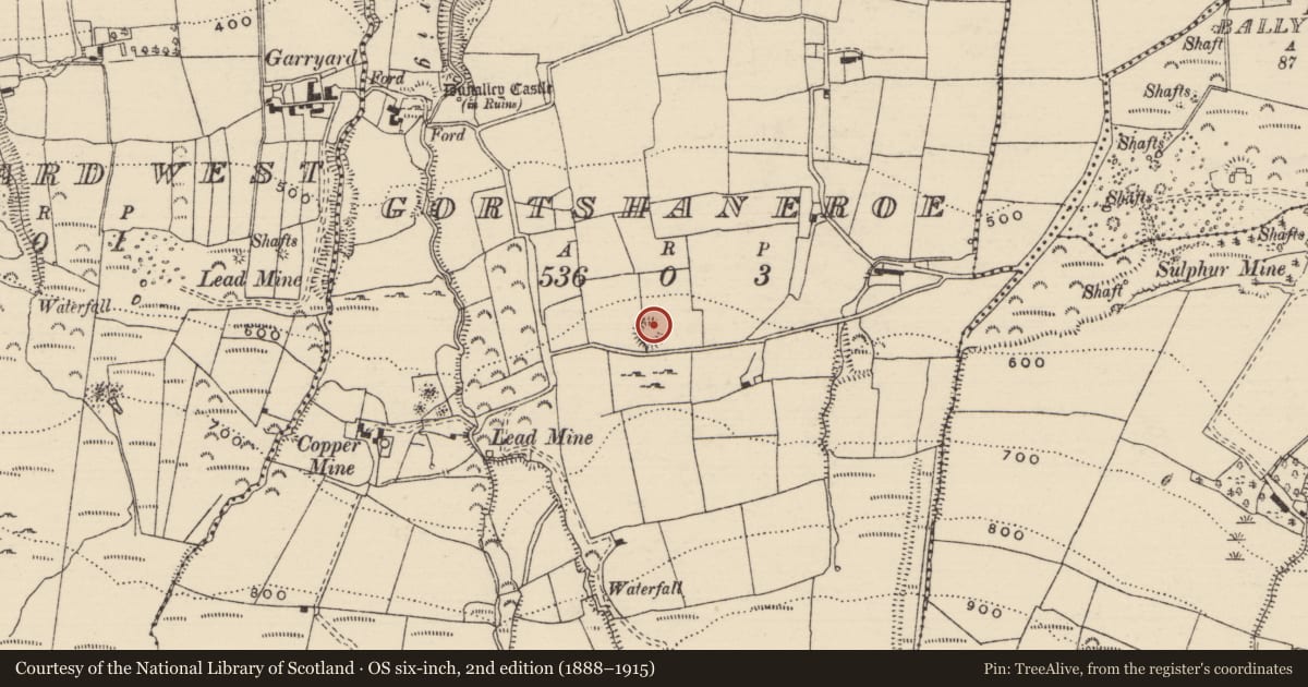 Ordnance Survey six-inch map, 2nd edition (1888–1915) covering the location of Ringfort - rath, Gortshaneroe, County Tipperary North, with a pin at the register's coordinates