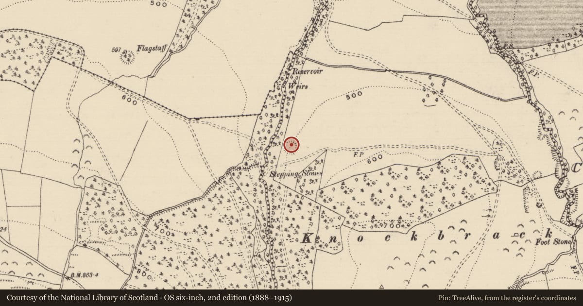 Ordnance Survey six-inch map, 2nd edition (1888–1915) covering the location of Ringfort - rath, Lisnageenly, County Tipperary North, with a pin at the register's coordinates