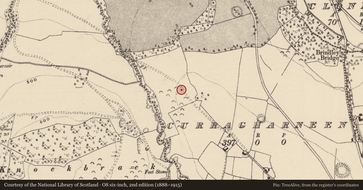 Ordnance Survey six-inch map, 2nd edition (1888–1915) covering the location of Enclosure, Curragharneen, County Tipperary North, with a pin at the register's coordinates