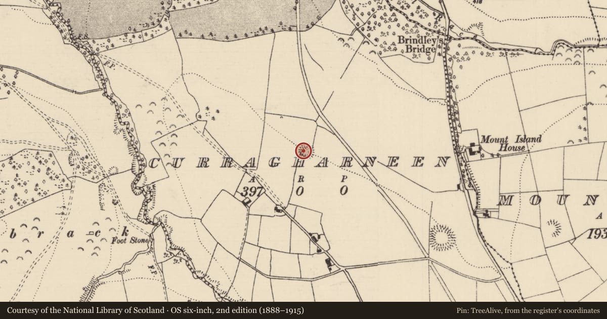 Ordnance Survey six-inch map, 2nd edition (1888–1915) covering the location of Ringfort - rath, Curragharneen, County Tipperary North, with a pin at the register's coordinates