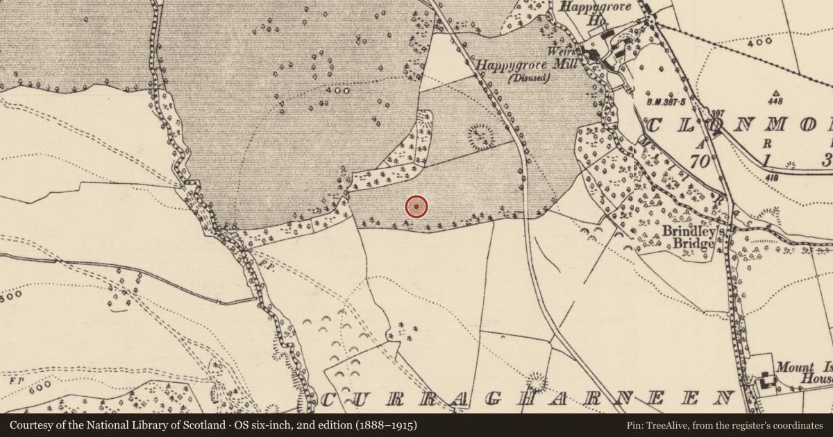 Ordnance Survey six-inch map, 2nd edition (1888–1915) covering the location of Designed landscape - tree-ring, Curragharneen, County Tipperary North, with a pin at the register's coordinates