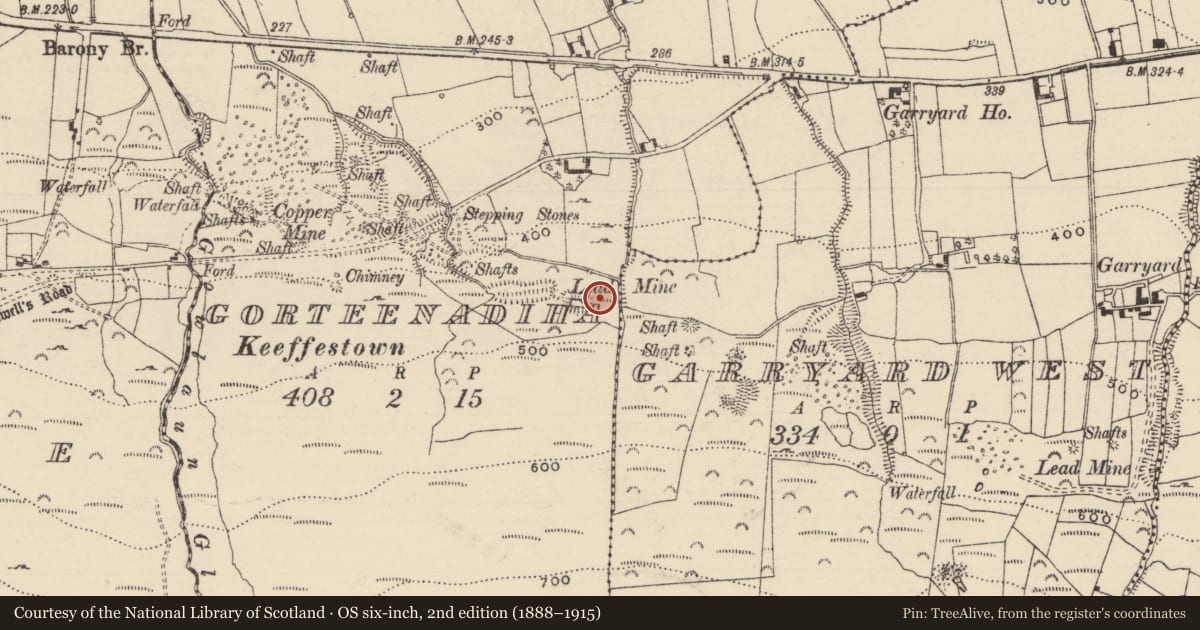 Ordnance Survey six-inch map, 2nd edition (1888–1915) covering the location of Mine, County Tipperary North, with a pin at the register's coordinates