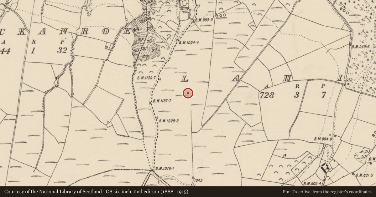 Ordnance Survey six-inch map, 2nd edition (1888–1915) covering the location of Quarry, Lahid, County Tipperary North, with a pin at the register's coordinates