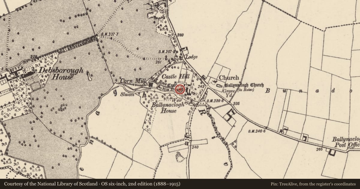 Ordnance Survey six-inch map, 2nd edition (1888–1915) covering the location of Castle - Anglo-Norman masonry castle, Ballynaclogh, County Tipperary North, with a pin at the register's coordinates