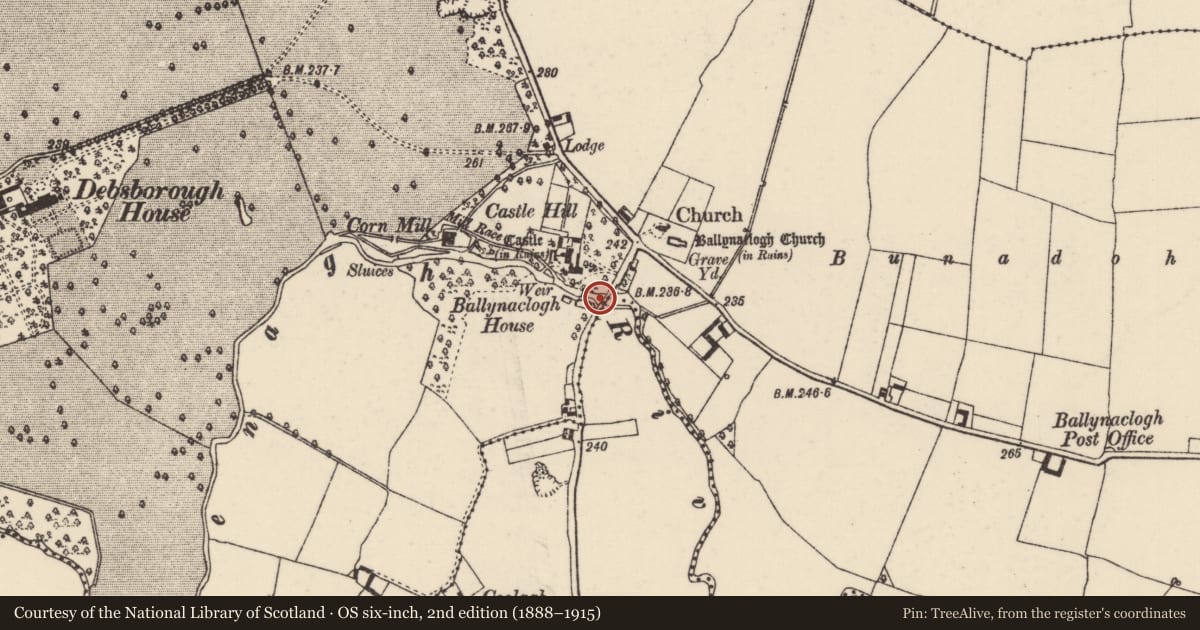Ordnance Survey six-inch map, 2nd edition (1888–1915) covering the location of Bridge, Ballynaclogh, County Tipperary North, with a pin at the register's coordinates