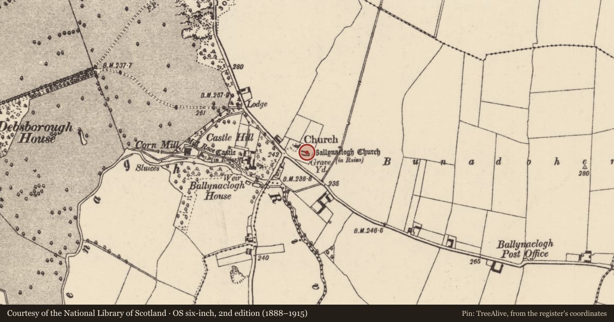 Ordnance Survey six-inch map, 2nd edition (1888–1915) covering the location of Graveslab, Ballynaclogh, County Tipperary North, with a pin at the register's coordinates