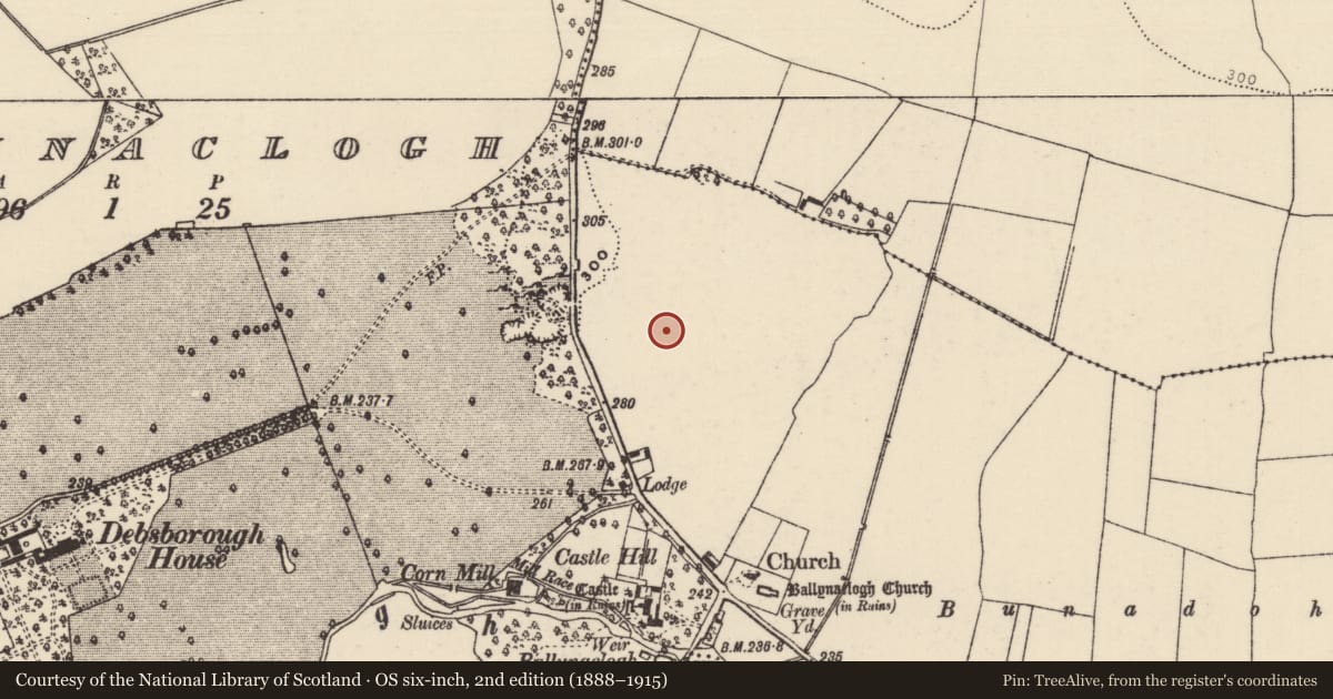 Ordnance Survey six-inch map, 2nd edition (1888–1915) covering the location of Field system, Ballynaclogh, County Tipperary North, with a pin at the register's coordinates