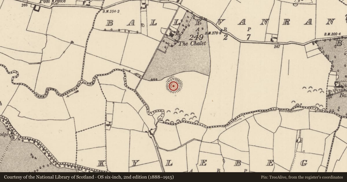 Ordnance Survey six-inch map, 2nd edition (1888–1915) covering the location of Ringfort - rath, Ballyvanran, County Tipperary North, with a pin at the register's coordinates