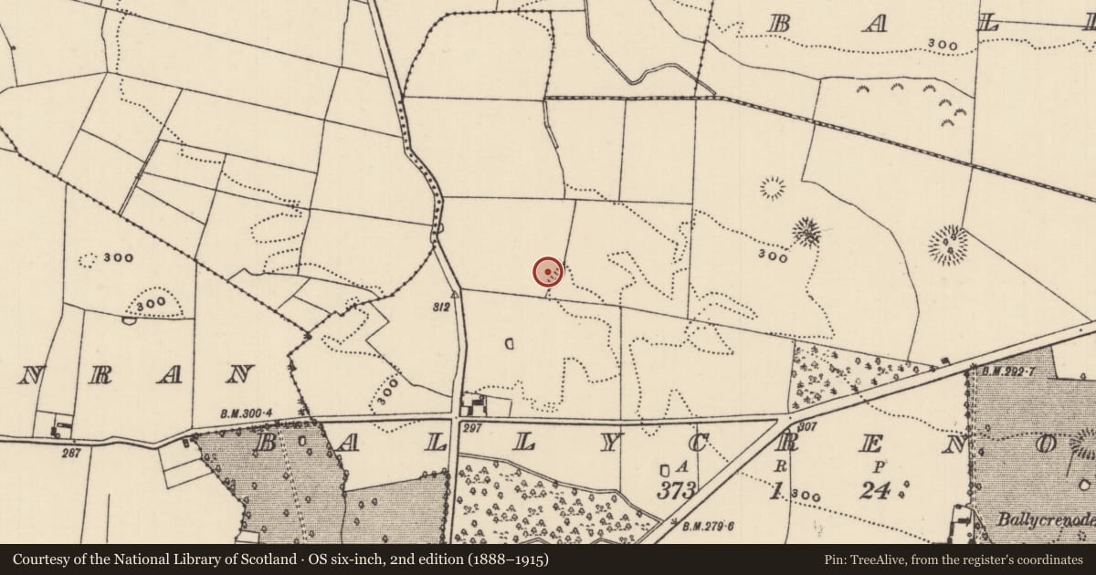 Ordnance Survey six-inch map, 2nd edition (1888–1915) covering the location of Ringfort - rath, Ballycrenode (Kilkeary Par.), County Tipperary North, with a pin at the register's coordinates