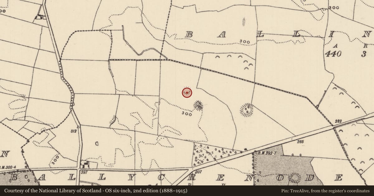 Ordnance Survey six-inch map, 2nd edition (1888–1915) covering the location of Ringfort - rath, Ballycrenode (Kilkeary Par.), County Tipperary North, with a pin at the register's coordinates