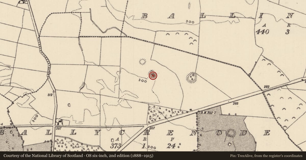 Ordnance Survey six-inch map, 2nd edition (1888–1915) covering the location of Ringfort - rath, Ballycrenode (Kilkeary Par.), County Tipperary North, with a pin at the register's coordinates