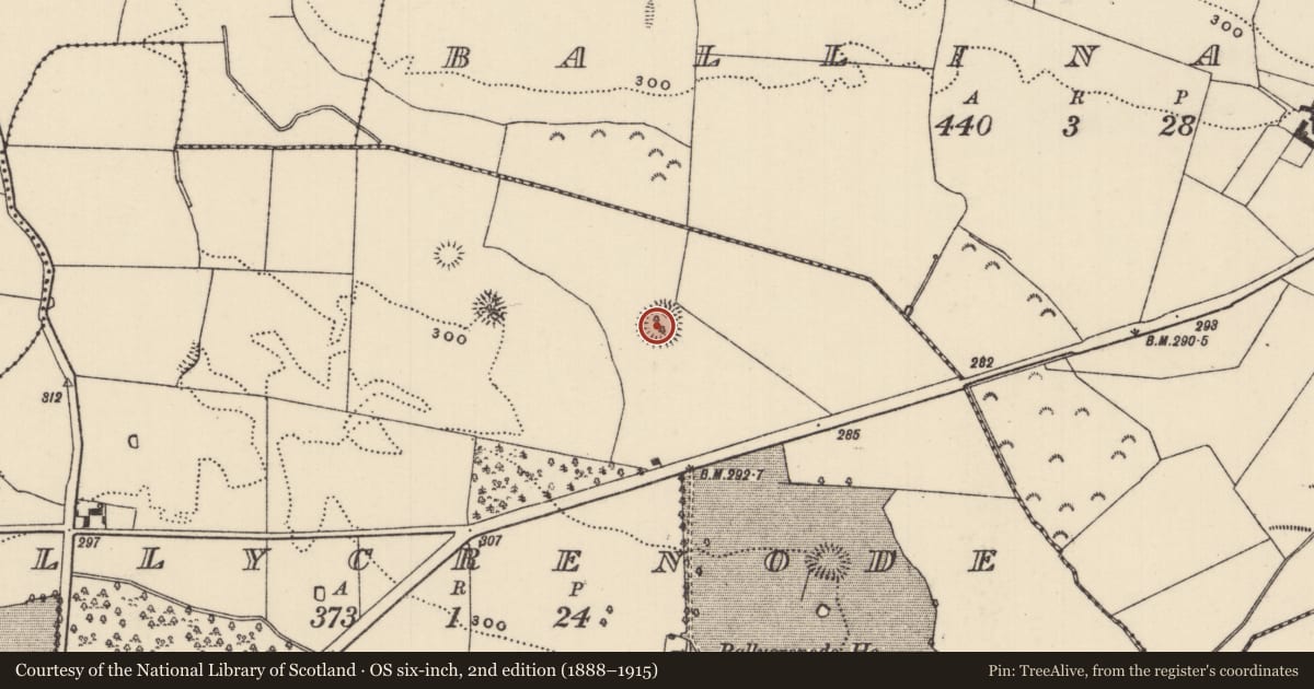 Ordnance Survey six-inch map, 2nd edition (1888–1915) covering the location of Ringfort - rath, Ballycrenode (Kilkeary Par.), County Tipperary North, with a pin at the register's coordinates