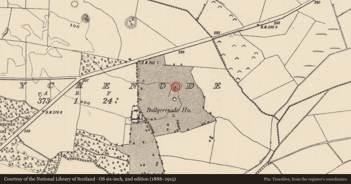Ordnance Survey six-inch map, 2nd edition (1888–1915) covering the location of Enclosure, Ballycrenode (Kilkeary Par.), County Tipperary North, with a pin at the register's coordinates