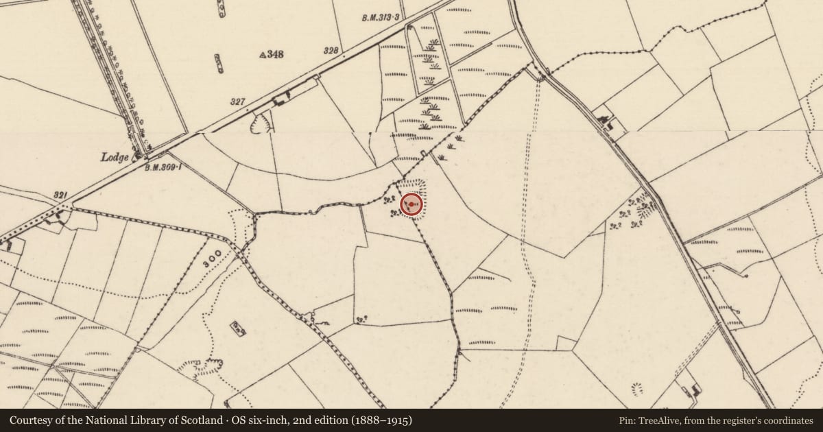 Ordnance Survey six-inch map, 2nd edition (1888–1915) covering the location of Moated site, Grenanstown (Ballymackey Par.), County Tipperary North, with a pin at the register's coordinates
