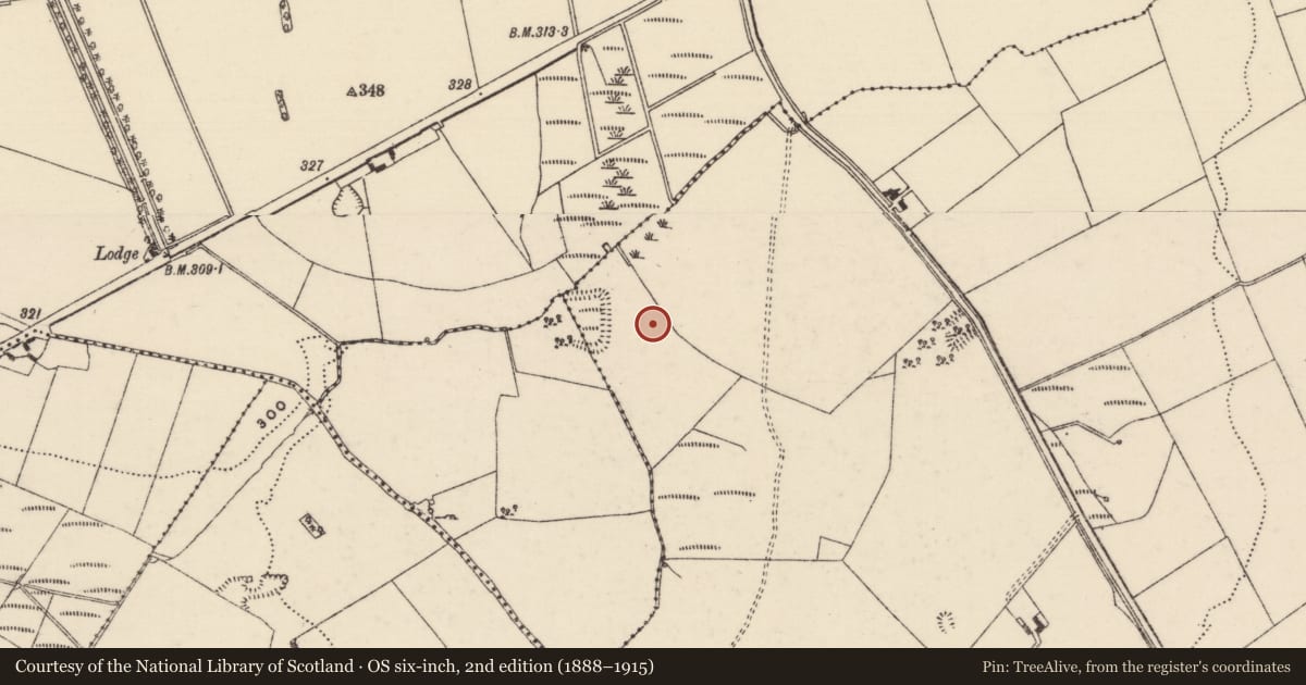 Ordnance Survey six-inch map, 2nd edition (1888–1915) covering the location of Moated site, Killanafinch (Kilkeary Par.), County Tipperary North, with a pin at the register's coordinates