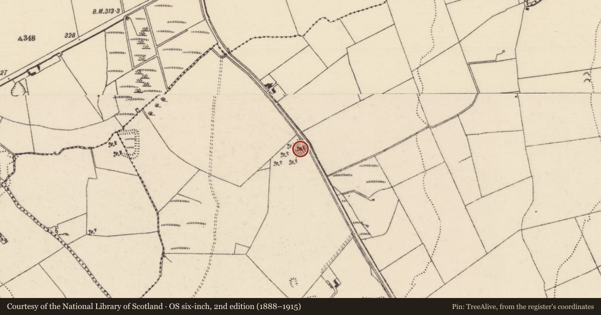 Ordnance Survey six-inch map, 2nd edition (1888–1915) covering the location of Moated site, Killanafinch (Kilkeary Par.), County Tipperary North, with a pin at the register's coordinates