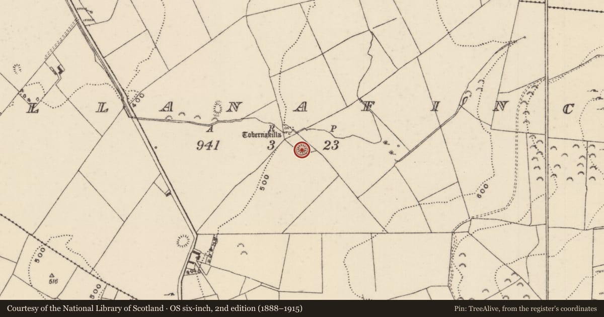 Ordnance Survey six-inch map, 2nd edition (1888–1915) covering the location of Castle - motte, Killanafinch (Kilkeary Par.), County Tipperary North, with a pin at the register's coordinates
