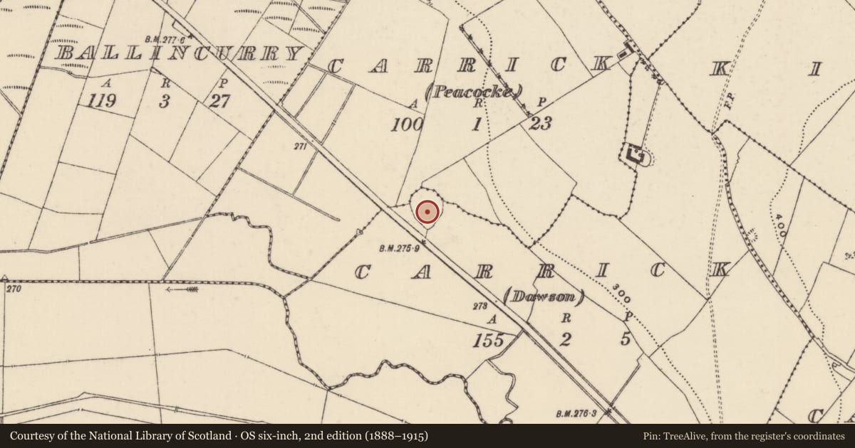 Ordnance Survey six-inch map, 2nd edition (1888–1915) covering the location of Enclosure, Carrick (Dawson), Carrick (Peacocke), County Tipperary North, with a pin at the register's coordinates