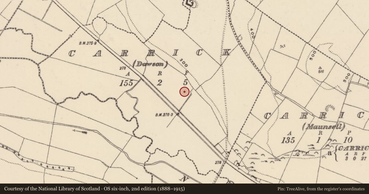 Ordnance Survey six-inch map, 2nd edition (1888–1915) covering the location of Ringfort - rath, Carrick (Dawson), County Tipperary North, with a pin at the register's coordinates