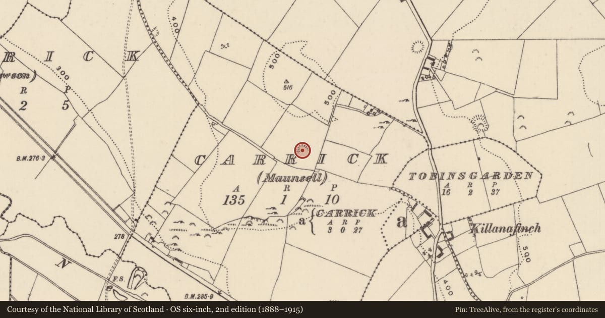 Ordnance Survey six-inch map, 2nd edition (1888–1915) covering the location of Ringfort - rath, Carrick (Maunsell), County Tipperary North, with a pin at the register's coordinates