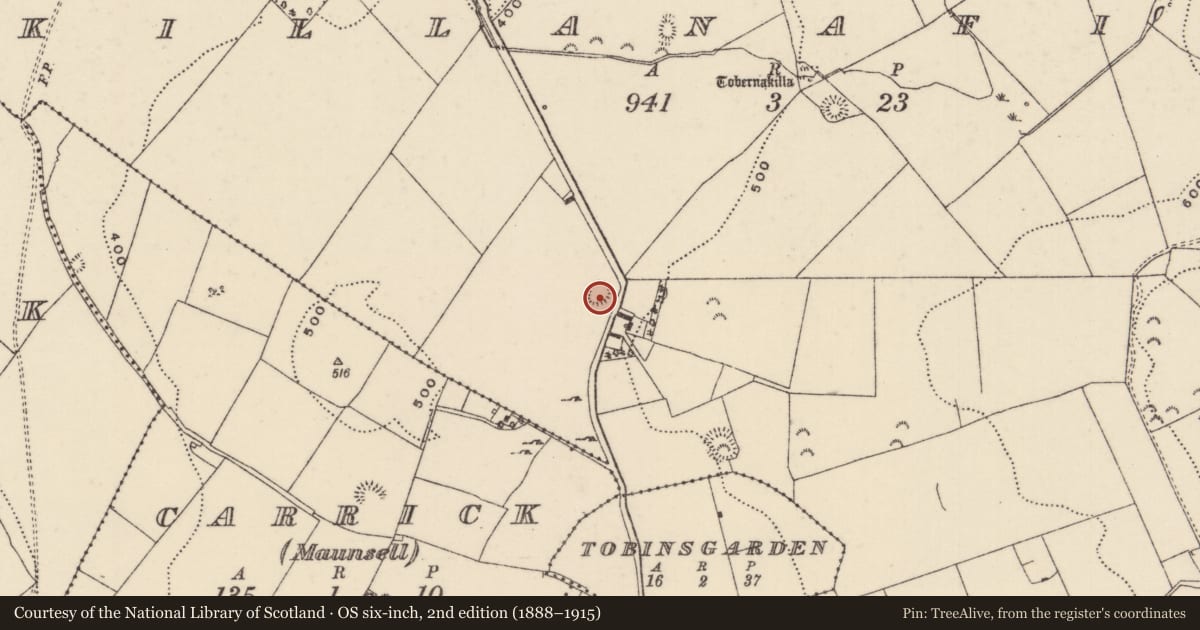 Ordnance Survey six-inch map, 2nd edition (1888–1915) covering the location of Ringfort - rath, Killanafinch (Kilkeary Par.), County Tipperary North, with a pin at the register's coordinates