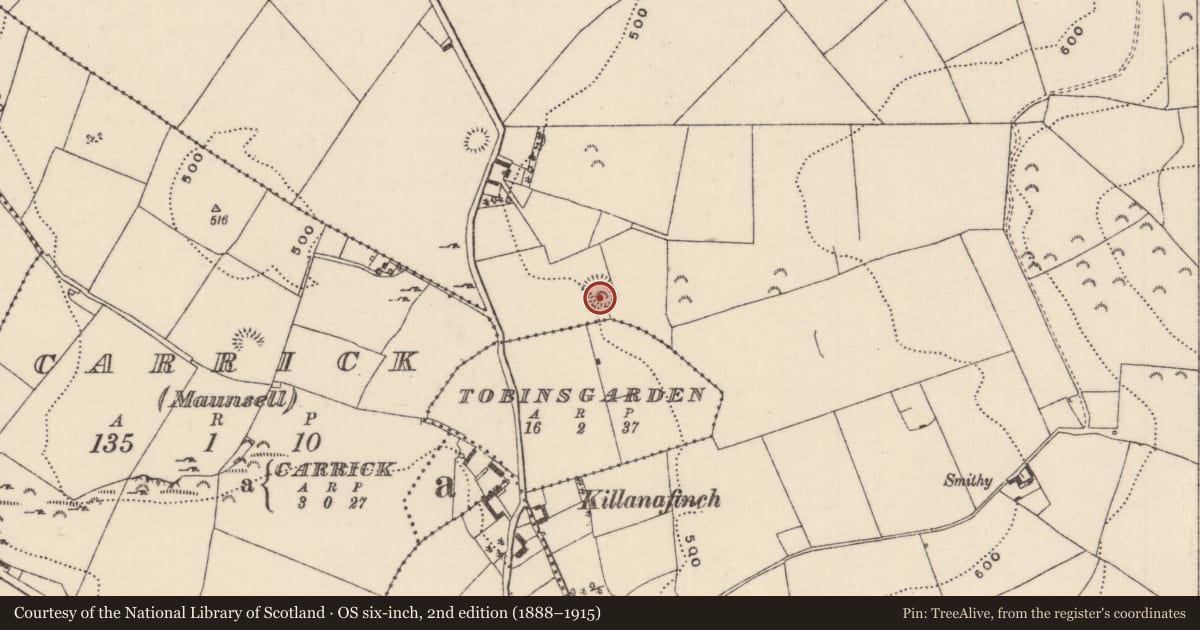 Ordnance Survey six-inch map, 2nd edition (1888–1915) covering the location of Ringfort - rath, Killanafinch (Kilkeary Par.), County Tipperary North, with a pin at the register's coordinates