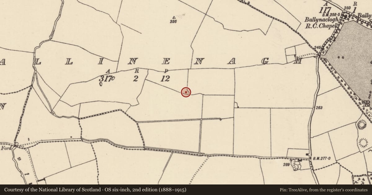 Ordnance Survey six-inch map, 2nd edition (1888–1915) covering the location of House - indeterminate date, Ballinenagh, County Tipperary North, with a pin at the register's coordinates