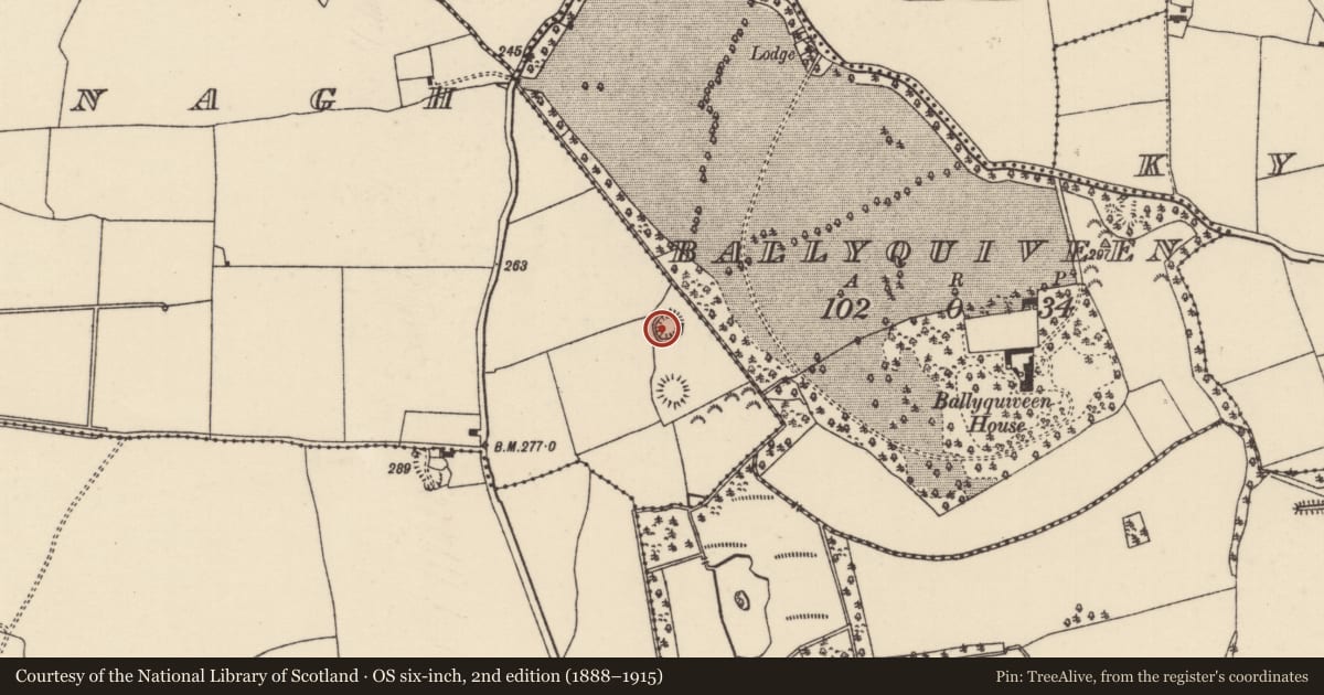 Ordnance Survey six-inch map, 2nd edition (1888–1915) covering the location of Ringfort - rath, Ballinenagh, County Tipperary North, with a pin at the register's coordinates