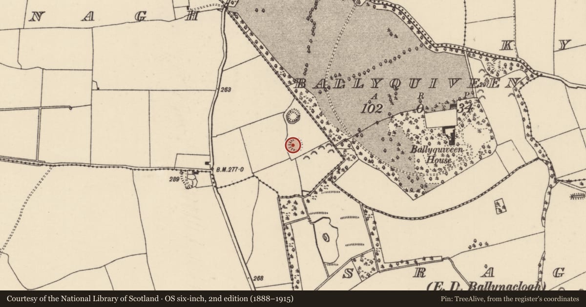Ordnance Survey six-inch map, 2nd edition (1888–1915) covering the location of Ringfort - rath, Ballinenagh, County Tipperary North, with a pin at the register's coordinates