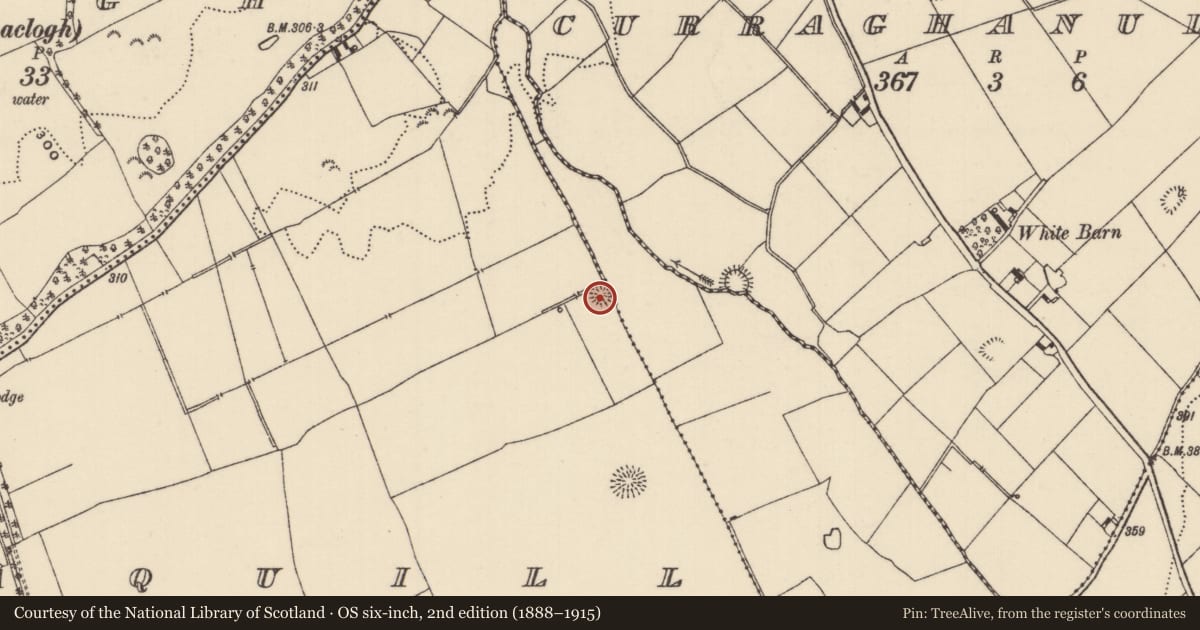 Ordnance Survey six-inch map, 2nd edition (1888–1915) covering the location of Ringfort - rath, Kilnaneave, Monaquill, County Tipperary North, with a pin at the register's coordinates