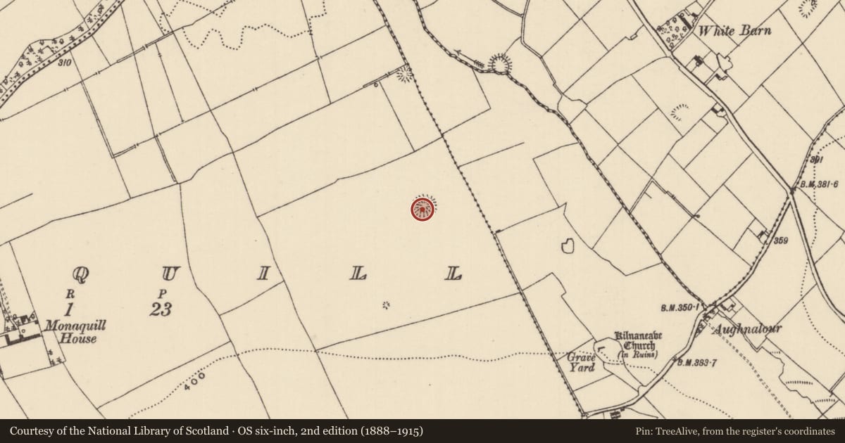 Ordnance Survey six-inch map, 2nd edition (1888–1915) covering the location of Ringfort - rath, Monaquill, County Tipperary North, with a pin at the register's coordinates