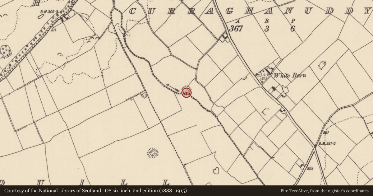 Ordnance Survey six-inch map, 2nd edition (1888–1915) covering the location of Ringfort - rath, Curraghanuddy, Kilnaneave, County Tipperary North, with a pin at the register's coordinates