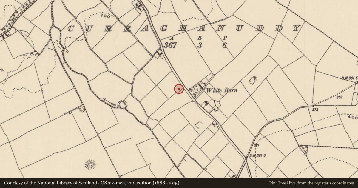 Ordnance Survey six-inch map, 2nd edition (1888–1915) covering the location of Ringfort - rath, Curraghanuddy, County Tipperary North, with a pin at the register's coordinates