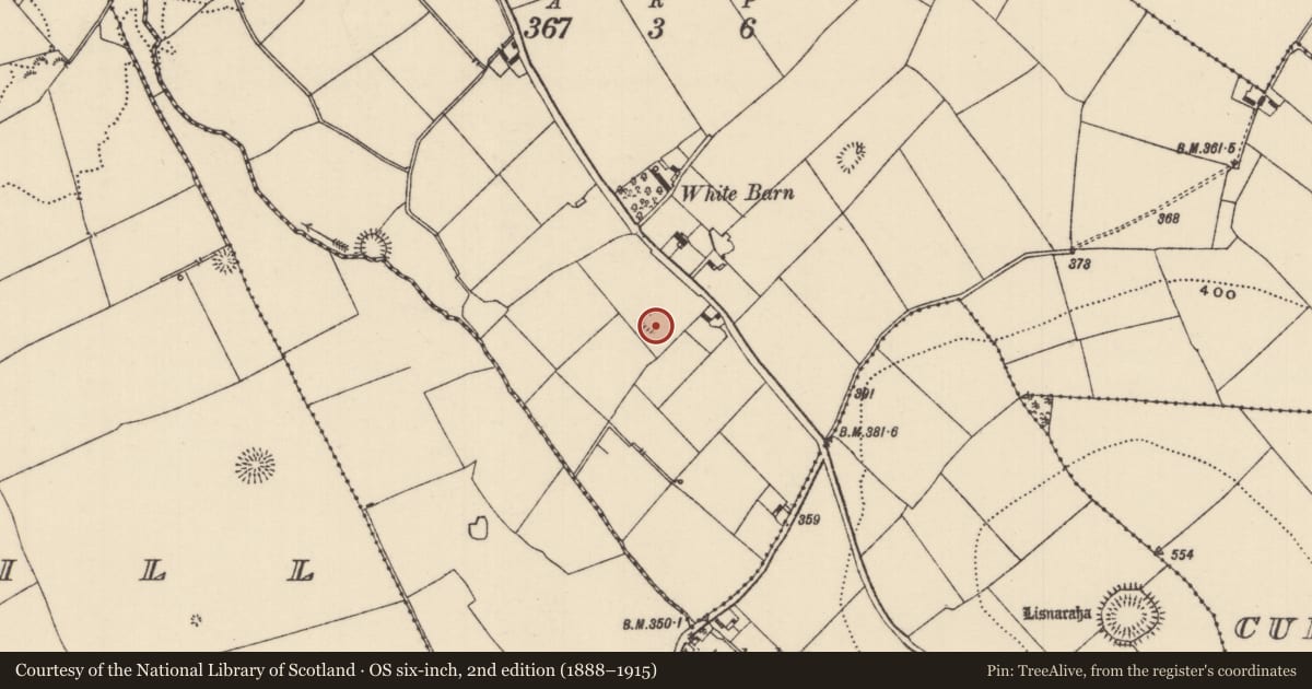 Ordnance Survey six-inch map, 2nd edition (1888–1915) covering the location of Ringfort - rath, Curraghanuddy, County Tipperary North, with a pin at the register's coordinates