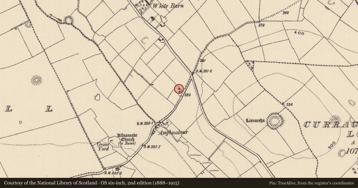 Ordnance Survey six-inch map, 2nd edition (1888–1915) covering the location of Ringfort - rath, Curraghanuddy, Kilnaneave, County Tipperary North, with a pin at the register's coordinates