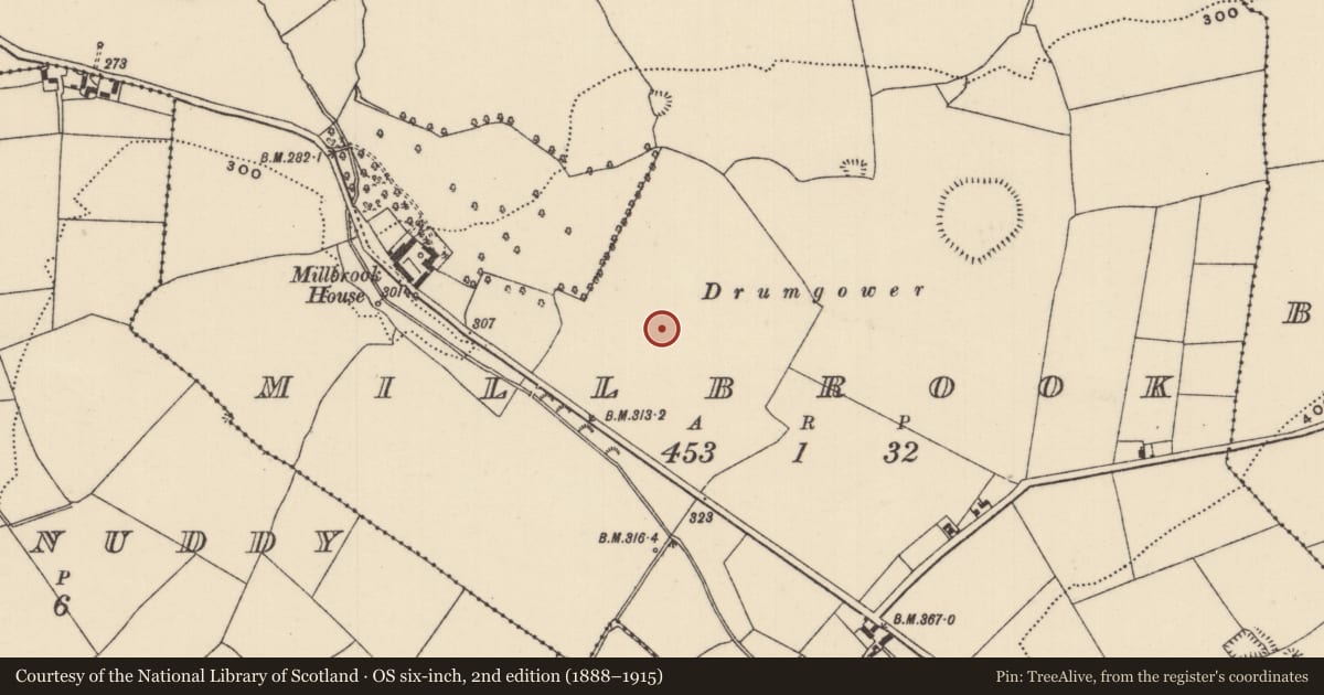 Ordnance Survey six-inch map, 2nd edition (1888–1915) covering the location of Moated site, Millbrook, County Tipperary North, with a pin at the register's coordinates