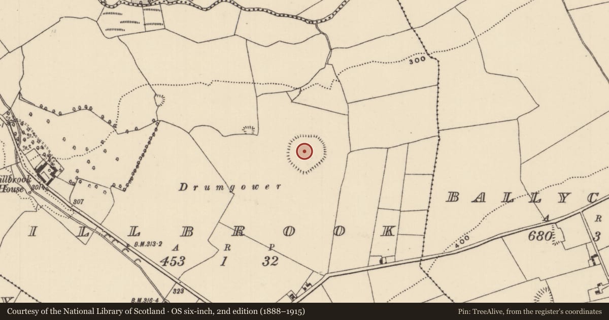 Ordnance Survey six-inch map, 2nd edition (1888–1915) covering the location of Enclosure, Millbrook, County Tipperary North, with a pin at the register's coordinates