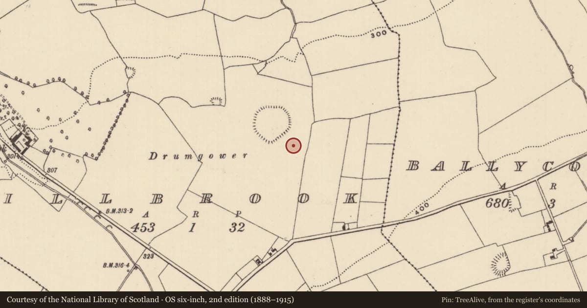 Ordnance Survey six-inch map, 2nd edition (1888–1915) covering the location of Enclosure, Millbrook, County Tipperary North, with a pin at the register's coordinates