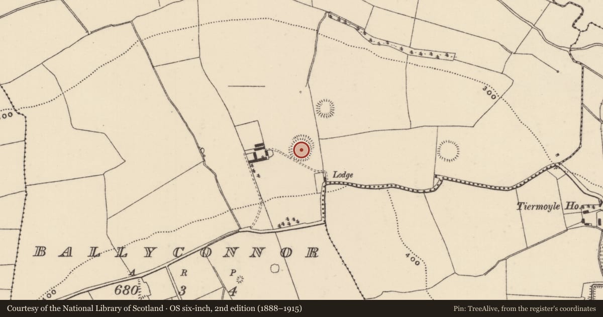 Ordnance Survey six-inch map, 2nd edition (1888–1915) covering the location of Ringfort - rath, Ballyconnor, County Tipperary North, with a pin at the register's coordinates