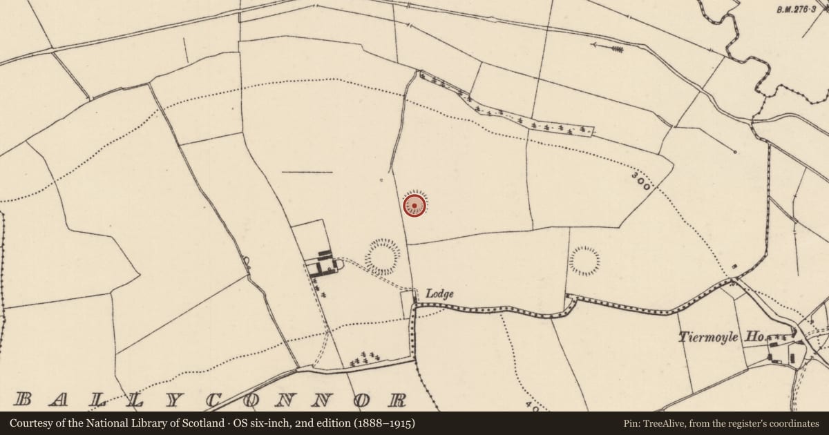 Ordnance Survey six-inch map, 2nd edition (1888–1915) covering the location of Ringfort - rath, Ballyconnor, County Tipperary North, with a pin at the register's coordinates