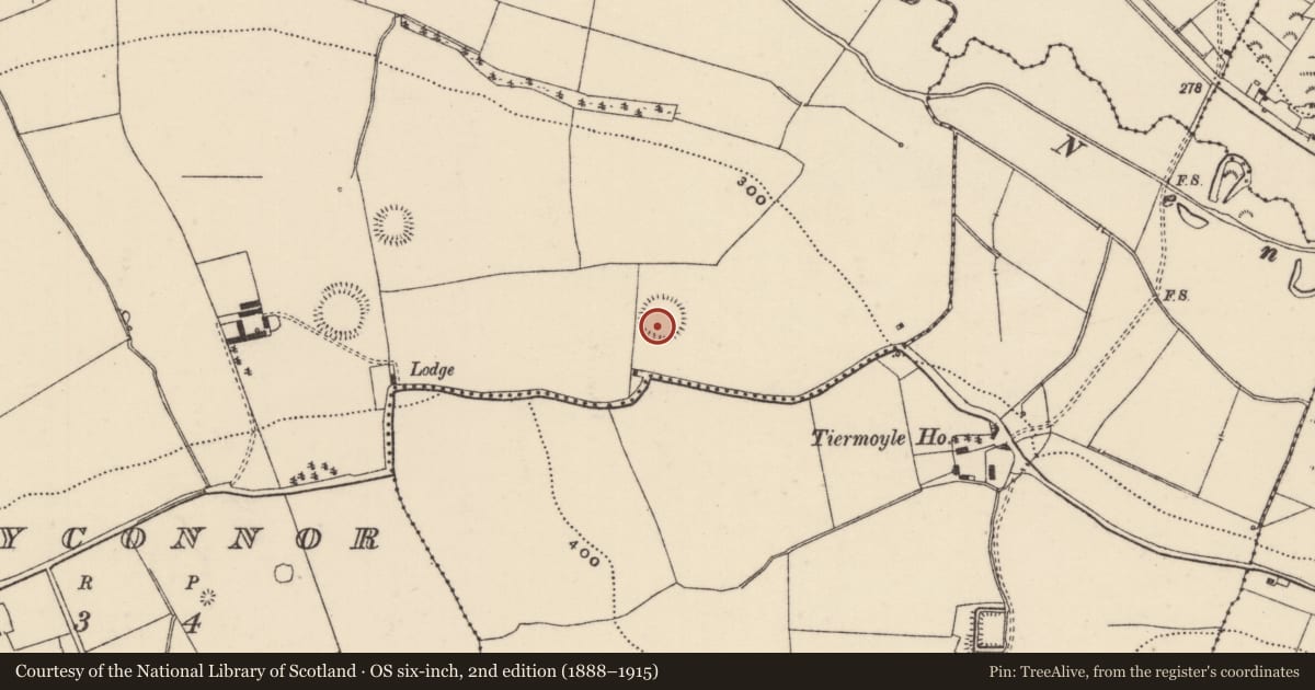 Ordnance Survey six-inch map, 2nd edition (1888–1915) covering the location of Ringfort - rath, Ballyconnor, County Tipperary North, with a pin at the register's coordinates