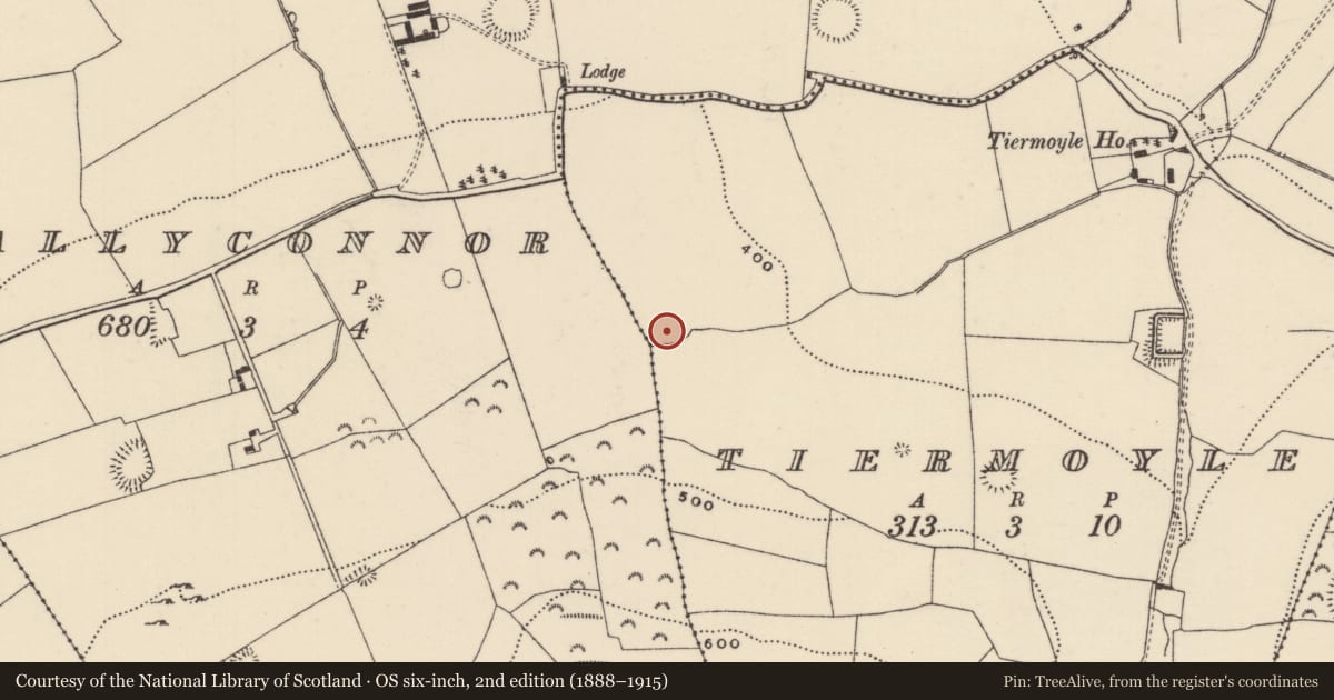 Ordnance Survey six-inch map, 2nd edition (1888–1915) covering the location of Ringfort - rath, Tiermoyle, County Tipperary North, with a pin at the register's coordinates