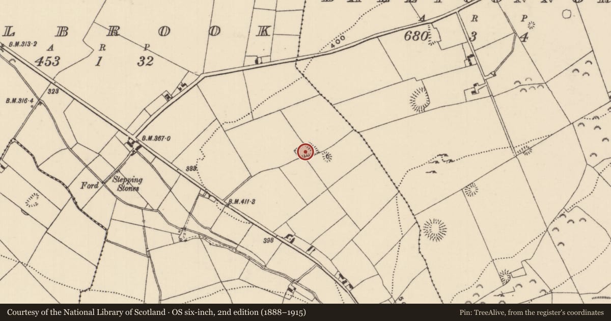 Ordnance Survey six-inch map, 2nd edition (1888–1915) covering the location of Moated site, Millbrook, County Tipperary North, with a pin at the register's coordinates