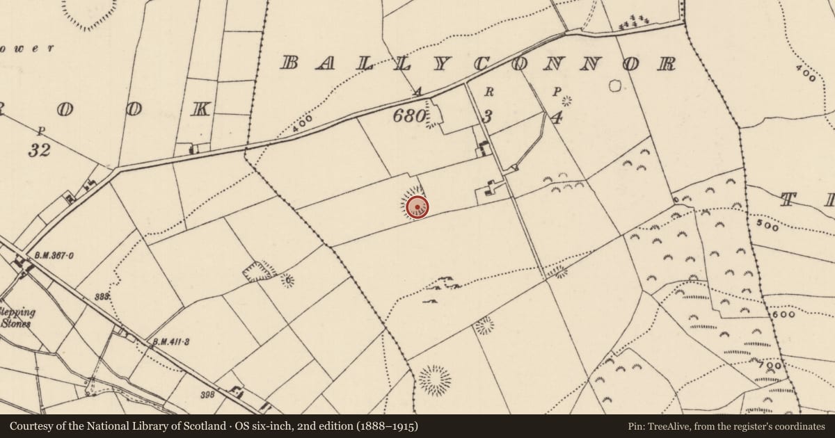 Ordnance Survey six-inch map, 2nd edition (1888–1915) covering the location of Ringfort - rath, Ballyconnor, County Tipperary North, with a pin at the register's coordinates